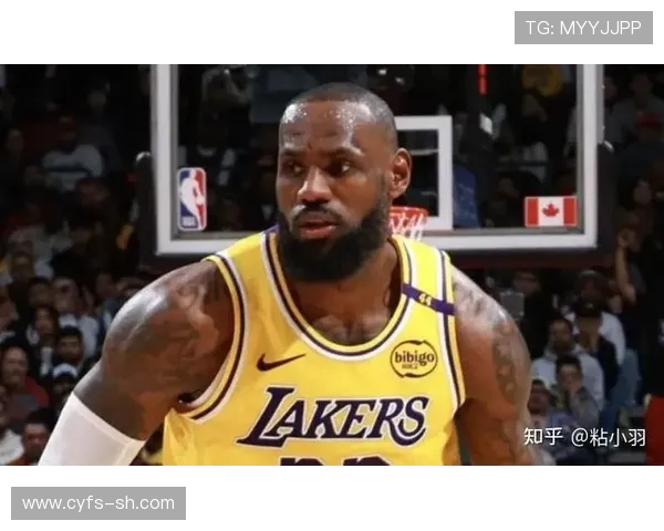 03年湖人对决猛龙的经典时刻回顾与赛季精彩瞬间分析